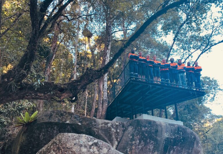 Redevelopment of Mossman Gorge Lower Track